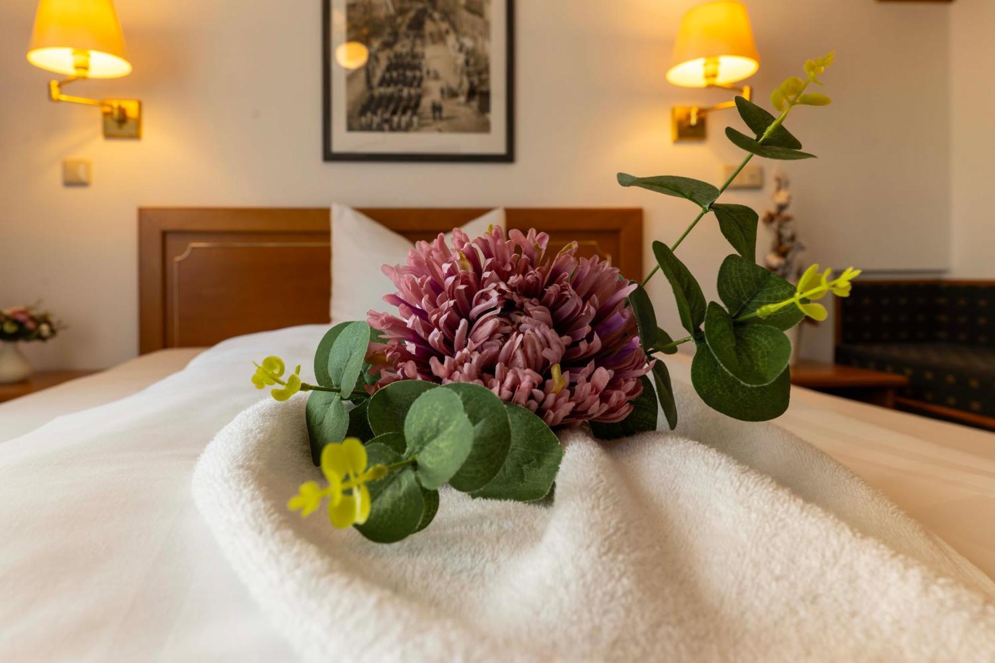 Hotel Alekto Freiberg Bagian luar foto